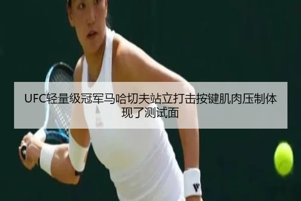 UFC轻量级冠军马哈切夫站立打击按键肌肉压制体现了测试面